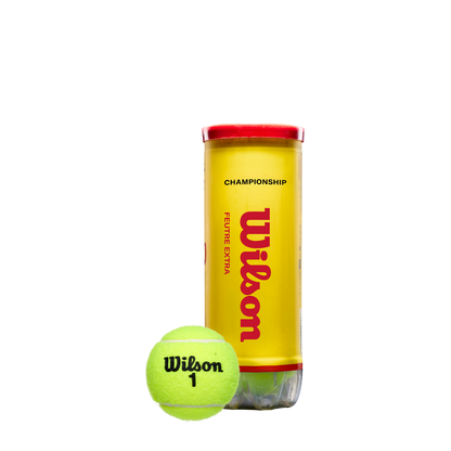 Premium Balls - Champ Extra Duty 72 Pack