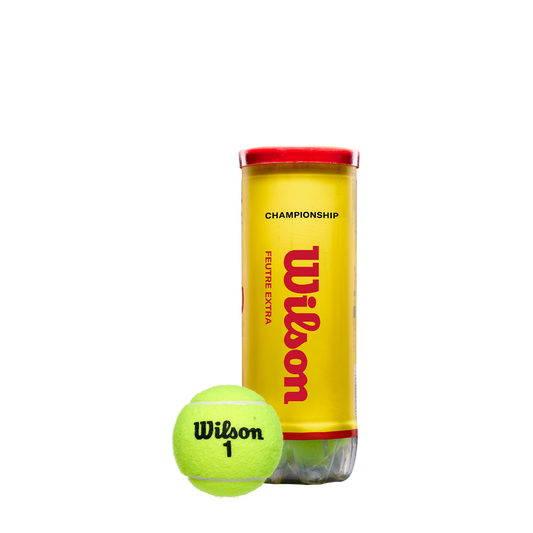 Premium Balls - Champ Extra Duty 72 Pack